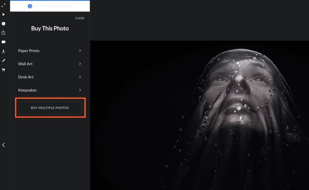 Hide BUY MULTIPLE PHOTOS button from the shopping cart 1